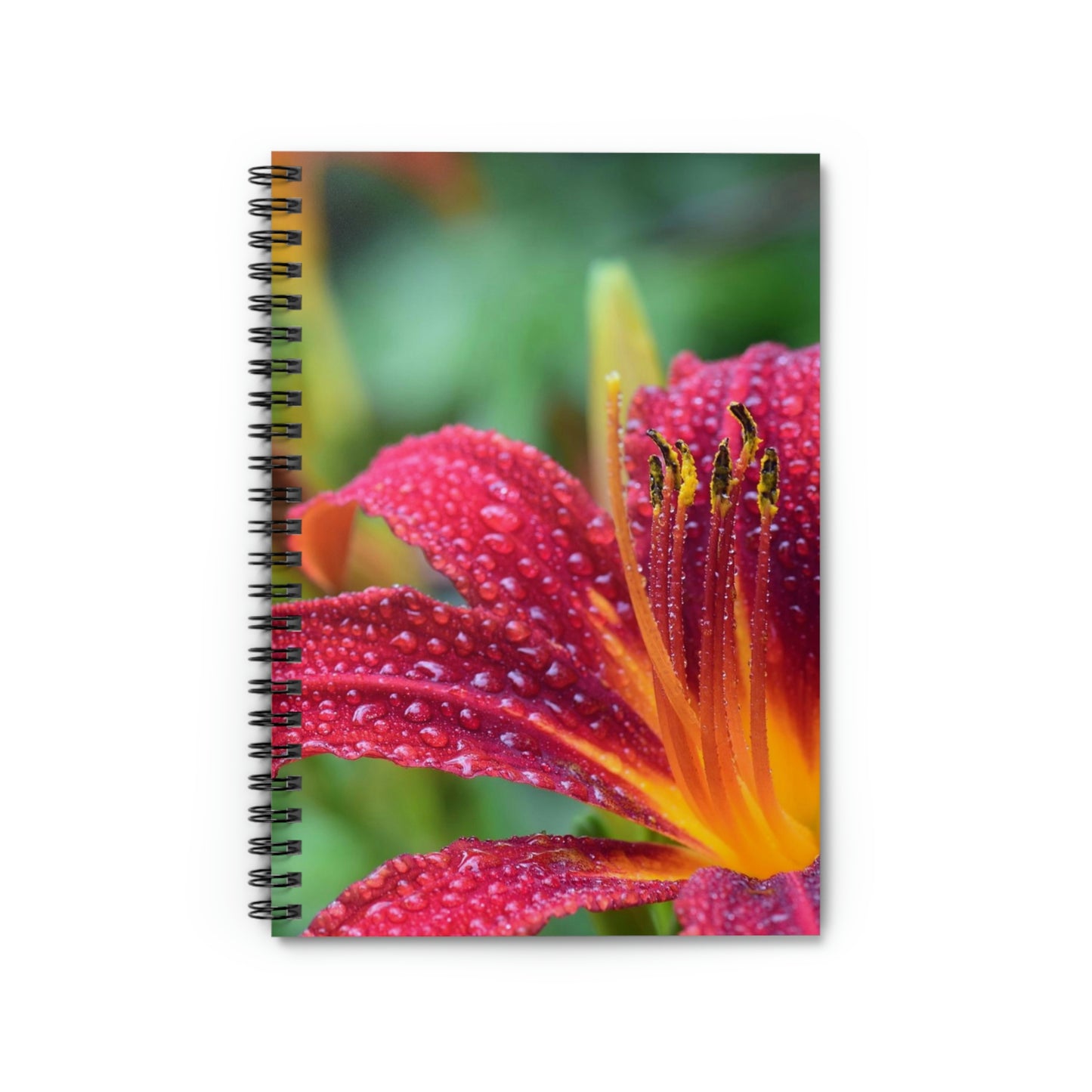 Day lilies Prayer Journal - Ruled Line